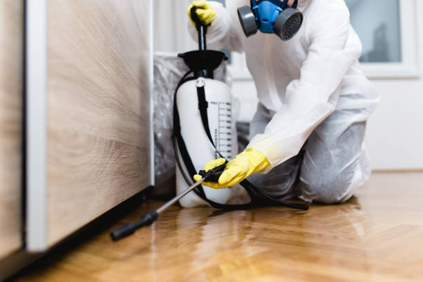 Best Affordable Pest Control Services  in Wheaton, MN