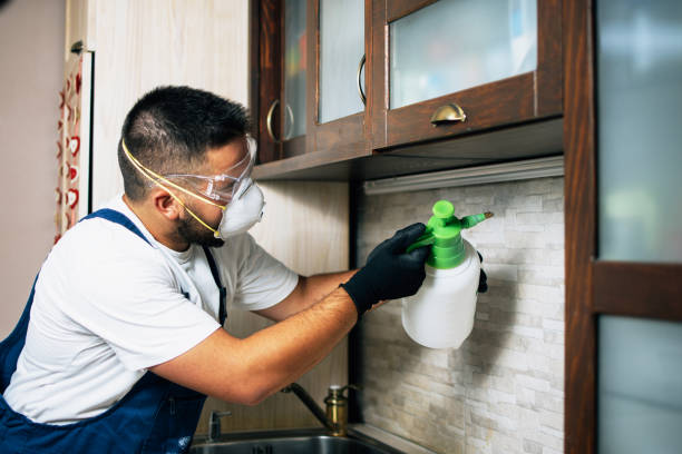Best Best Pest Control Companies  in Wheaton, MN