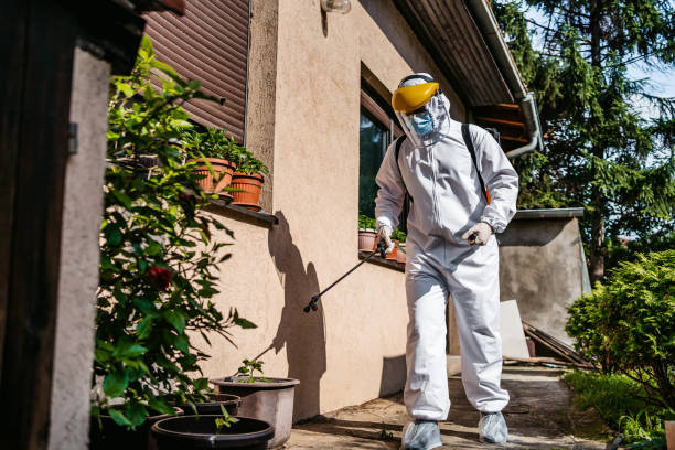 Best Flea Control Services  in Wheaton, MN