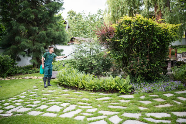 Best Pest Removal Services  in Wheaton, MN