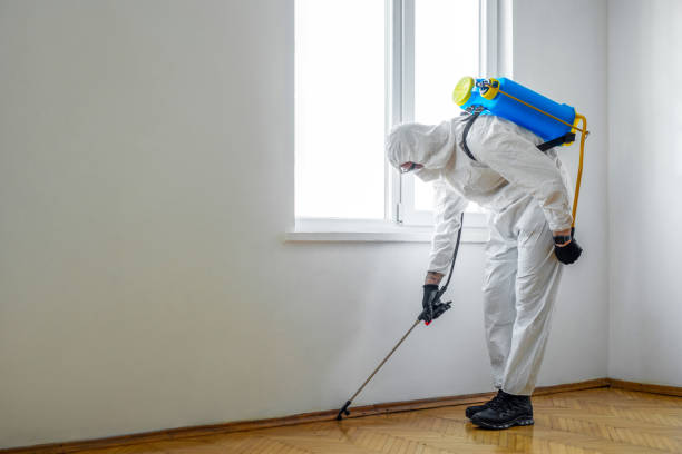 Best Commercial Pest Control Services  in Wheaton, MN