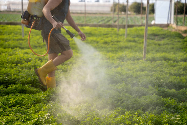 Best Residential Pest Control  in Wheaton, MN