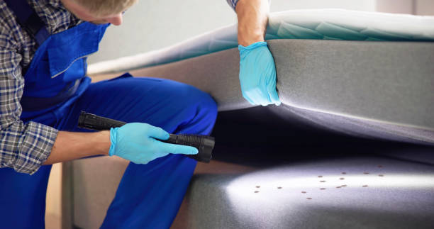 Best Pest Prevention Services  in Wheaton, MN