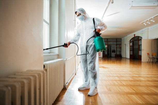 Best Bed Bug Extermination  in Wheaton, MN