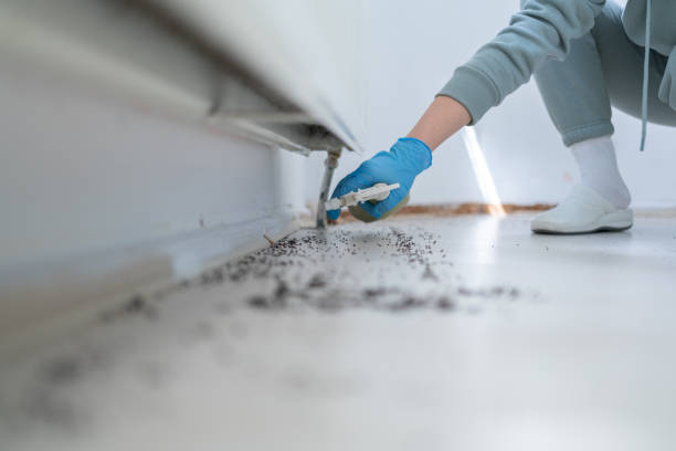 Best Local Pest Control Services  in Wheaton, MN